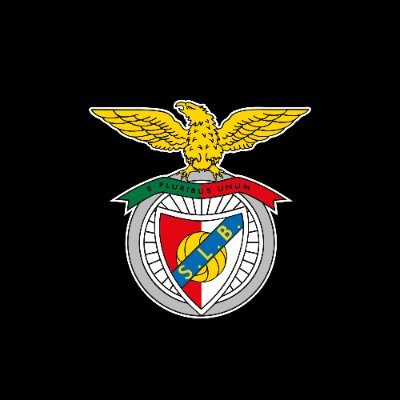 slbenfica_en's profile picture