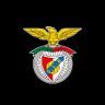 SL Benfica's profile picture