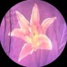 あんきなこⅡ profil fotoğrafı