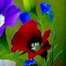 aliraqialiraqi's profile picture