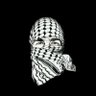 Profilbild von 🇮🇷سید🇮🇷