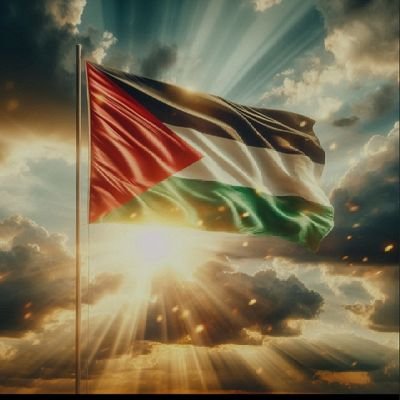 yousef Hamed~Gaza🇵🇸's profile picture