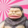 こたろう profil fotoğrafı