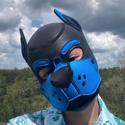 PPupRiley's profile picture