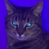 Profilbild von Alexandra ⭒
