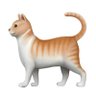 Cat Emoji $🐈 profil fotoğrafı
