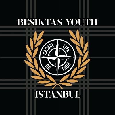 besiktasyouth's profile picture