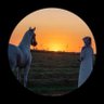 h.s's profile picture