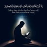 Фото профиля محمد عبد الرحمن