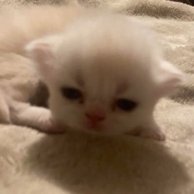 cami's profile picture
