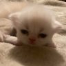 Profilbild von cami