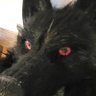 Wulfsige's profile picture