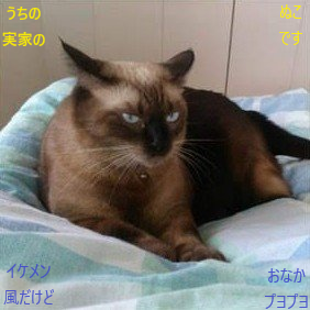 剣潭's profile picture
