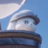 Profilbild von zee
