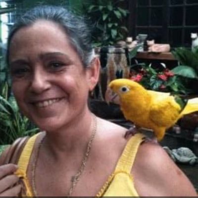 Tucha11Santos's profile picture