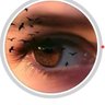 Profilbild von أميره
