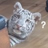 Profilbild von Chuyun