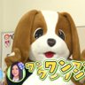 Masahiro Seki 🇯🇵's profile picture
