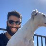André Filipe Morais's profile picture