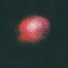 Фото профиля steroad(ろあど)