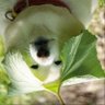 Profilbild von flyingfly