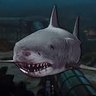 Shark 的头像