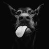 Rotwang's profile picture