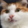 minero profil fotoğrafı