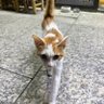 dyf profil fotoğrafı