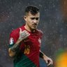 GOATAVIO🐐🇵🇹 profil fotoğrafı