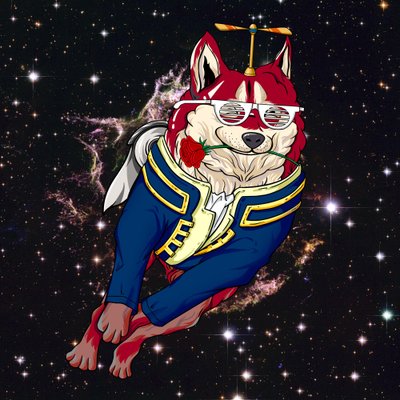 patricivida's profile picture