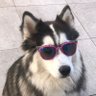 Fabricio's profile picture
