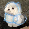 KARASEILA's profile picture