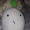 みかん's profile picture
