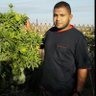 Profilbild von مصطفى زايد