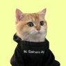 INTERN profil fotoğrafı