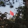 Kemal61 profil fotoğrafı