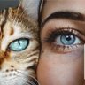 Rachele profil fotoğrafı