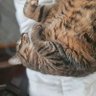 Molly's profile picture