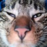 Rozytha🇨🇴 profil fotoğrafı
