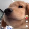 MaMew .S profil fotoğrafı