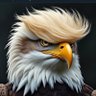 Susan 3x Trump voter profil fotoğrafı