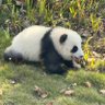 十五's profile picture
