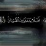 محمد's profile picture