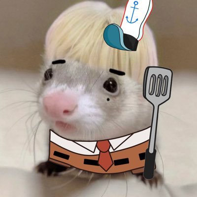 spngskz's profile picture