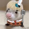 Profilbild von FERRET MOVED ACCS READ PINNED
