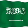 أحمد العسيري's profile picture