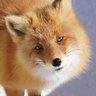 bunny82's profile picture