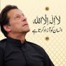 Ayesha Meraj's profile picture