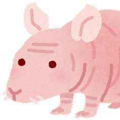 Nanurisososo_so's profile picture